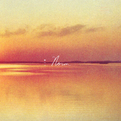 Shauf, Andy: Norm (IEX) Eco Mix (Vinyl LP)