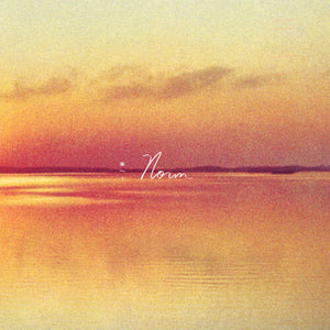 Shauf, Andy: Norm (IEX) Eco Mix (Vinyl LP)
