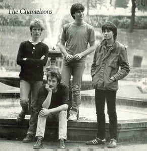 Chameleons: TONY FLETCHER (12-Inch Single)