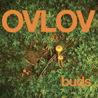 Ovlov: Buds (Vinyl LP)