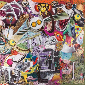 Giraffes Giraffes: Memory Lame (Vinyl LP)