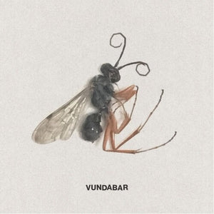 Vundabar: Good Old (Vinyl LP)