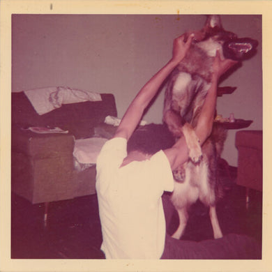 Elucid: I Told Bessie (Vinyl LP)