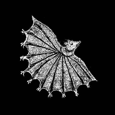 Ignore Grief - Silver Ghostby Xiu Xiu (Vinyl Record)