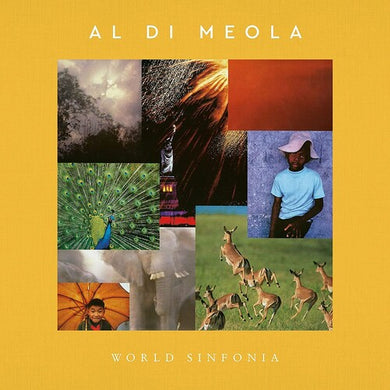 Di Meola, Al: WORLD SINFONIA (Vinyl LP)