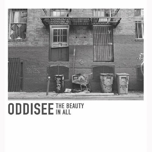 Oddisee: The Beauty In All (Vinyl LP)