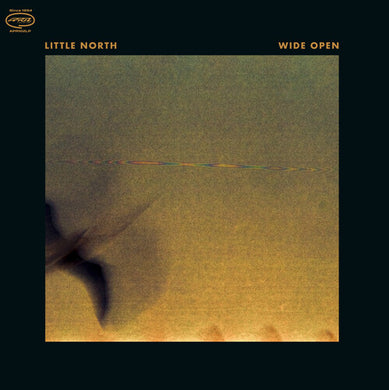 A Supreme Vibeby Supreme Court (Vinyl Record)