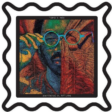 Toro Y Moi: Anything In Return (Vinyl LP)