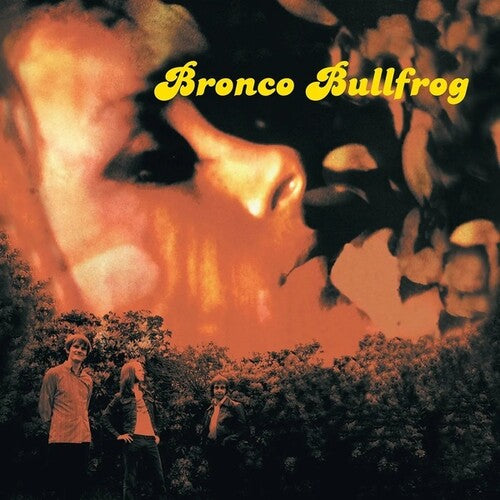 Bronco Bullfrog: Bronco Bullfrog (Vinyl LP)