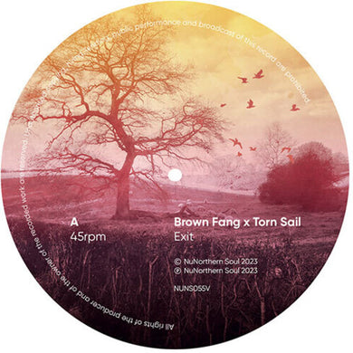 Brown Fang & Torn Sail: Network Remixes: Volume One Sampler (Various Artists) (7-Inch Single)