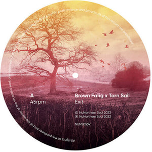 Brown Fang & Torn Sail: Network Remixes: Volume One Sampler (Various Artists) (7-Inch Single)