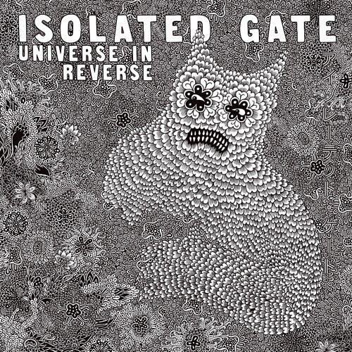 Isolated Gate: Universe In Reverse (Vinyl LP)