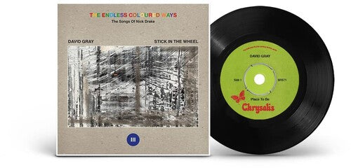 Gray, David: The Endless Coloured Ways: The Songs of Nick Drake - David Gray (7-Inch Single)
