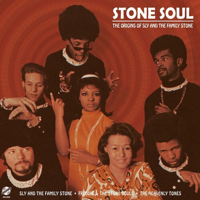 Stone Soul - Origins of Sly & Family Stone / Var: Stone Soul - The Origins Of Sly & The Family Stone (Various Artists) (Vinyl LP)