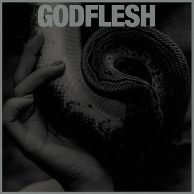 Godflesh: Purge (Vinyl LP)