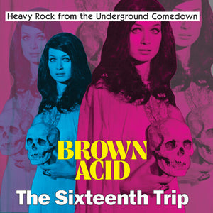Brown Acid - Sixteenth Trip / Various: Brown Acid - The Sixteenth Trip (Various Artists) (Vinyl LP)
