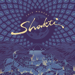 Shakti: This Moment (Vinyl LP)
