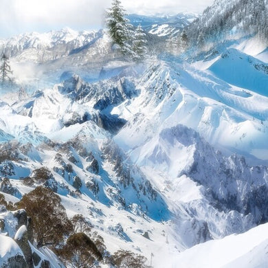 Schntzl: Holiday (Vinyl LP)