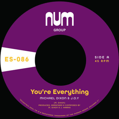 Dixon, Michael a. & J.O.Y.: You're Everything B/w You're All I Need - Purple (7-Inch Single)