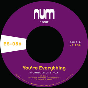 Dixon, Michael a. & J.O.Y.: You're Everything B/w You're All I Need - Purple (7-Inch Single)