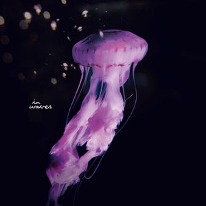 South Atoms: El Mundo De Las Cosas (12-Inch Single)