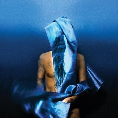 Banhart, Devendra: Flying Wig (Vinyl LP)