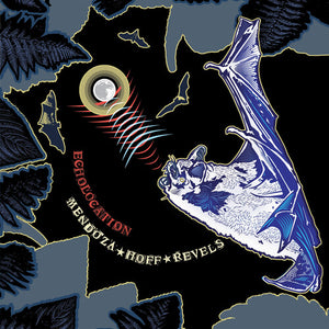 Ava Mendoza & Devin Hoff Revels: Echolocation (Vinyl LP)