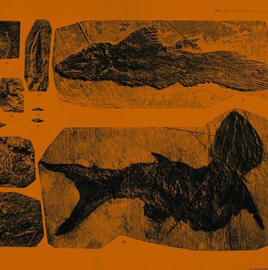 Monsere, Annelies: Mares (Vinyl LP)