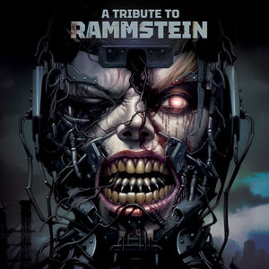 Tribute to Rammstein / Various: A Tribute To Rammstein (Various Artsists) (Vinyl LP)