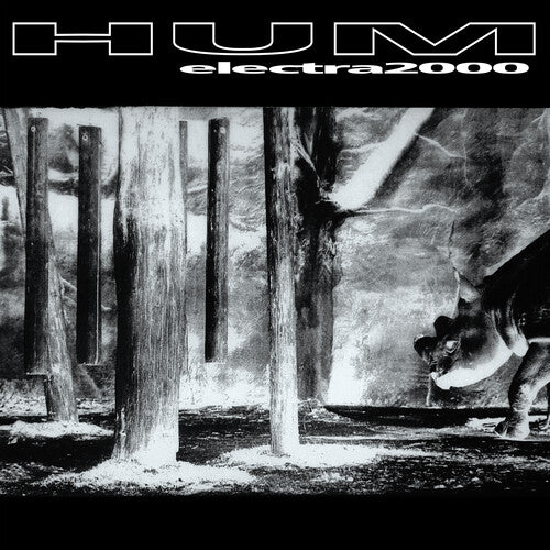 Hum: Electra 2000 (Vinyl LP)