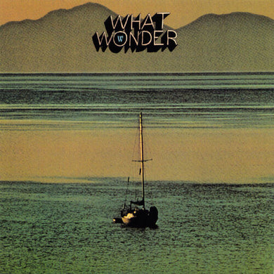 Little Wings: What Wonder (7-Inch Single)