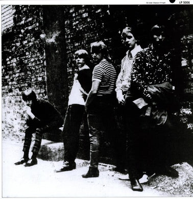 Shadows of Knight: Raw N Alive at the Cellar 1966 (Vinyl LP)