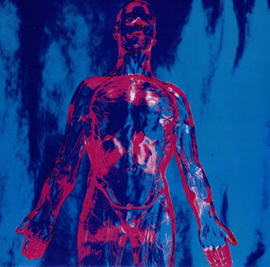 Nirvana: Sliver (7-Inch Single)