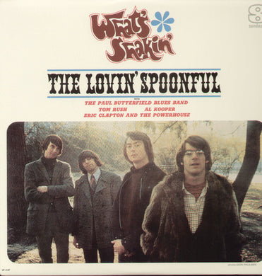 Various Artists: Shwat's Shakin' (Vinyl LP)