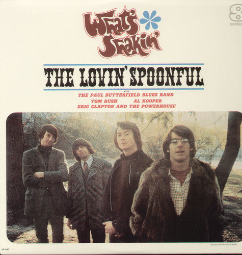 Various Artists: Shwat's Shakin' (Vinyl LP)