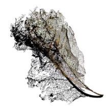 Cooper, Max: Earth EP (12-Inch Single)