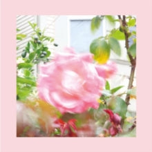 Reds Pinks & Purples: Summer At Land's End ['Pale Green Stars' Colored Vinyl] (Vinyl LP)