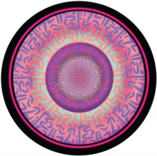 The Speakers Pump Like Thisby Bruno Furlan (Vinyl Record)
