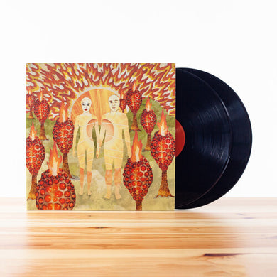 Of Montreal: The Sunlandic Twins (Vinyl LP)