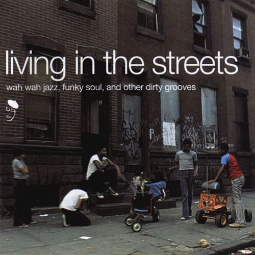 Living in Streets / Var: Living in Streets / Various (Vinyl LP)