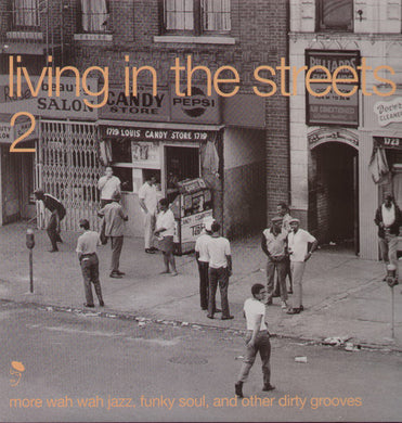 Living in the Streets 2 / Various: Living In The Streets, Vol. 2 (Vinyl LP)