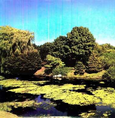 Shellac: Terraform (Vinyl LP)