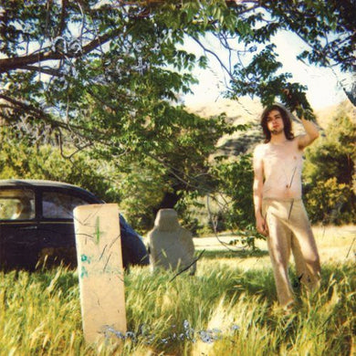 Ariel Pink's Haunted Graffiti: The Doldrums  (Vinyl LP)