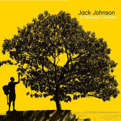 Johnson, Jack: In Between Dreams (Vinyl LP)