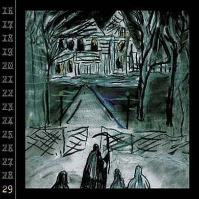 Ryan Adams: 29 (Vinyl LP)