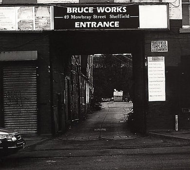 Arctic Monkeys: When the Sun Goes Down (12-Inch Single)
