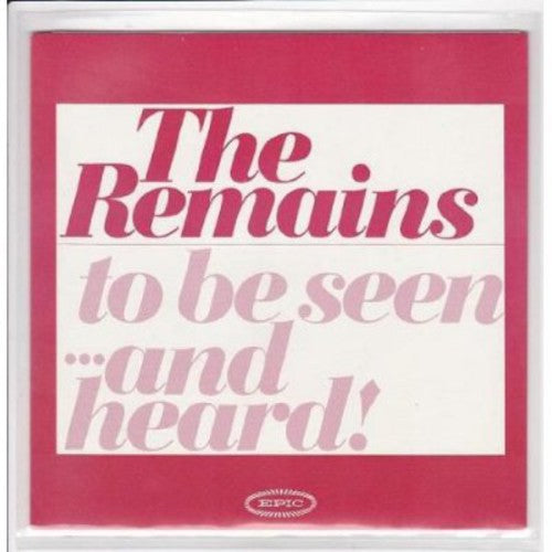 The Remains: Diddy Wah Diddy/Once Before (7-Inch Single)