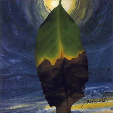 Cafe Soul All Stars: I'm Changing (12-Inch Single)