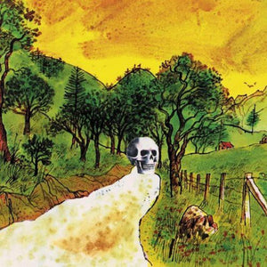 The Skygreen Leopards: Disciples of California (Vinyl LP)