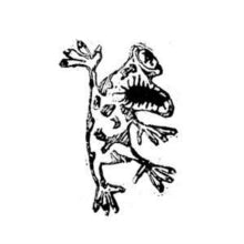 Ulrich Troyer: Nok 2020 (Vinyl LP)